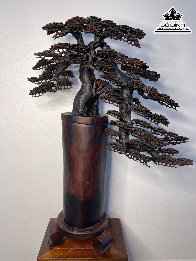 Bình Tùng Bonsai Gỗ Trắc Cao 100 Ngang 65 Sâu 20 (cm)