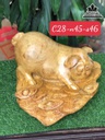 Tượng Heo Gỗ Nu Kháo Cao 28 Ngang 45 Sâu 46 (cm)