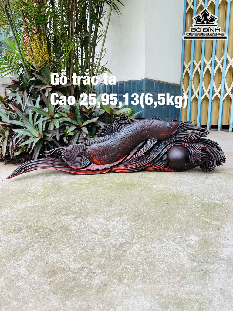 Tượng Cá Gỗ Trắc Cao 25 Ngang 95 Sâu 13 (cm)