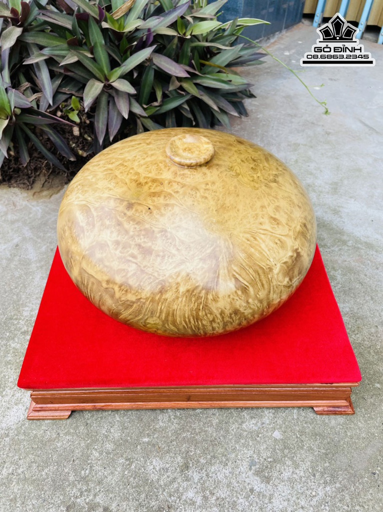 Bình Phú Quý Gỗ Nu Kháo Cao 19 Đường Kính 33 Cả Kỷ 26 (cm)