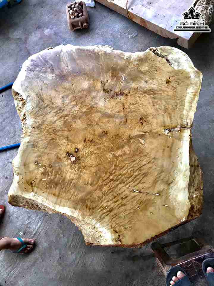 Mặt Bàn Nguyên Khối Gỗ Chun Dổi  Ngang 123 Rộng 116 Dày 12 (cm)