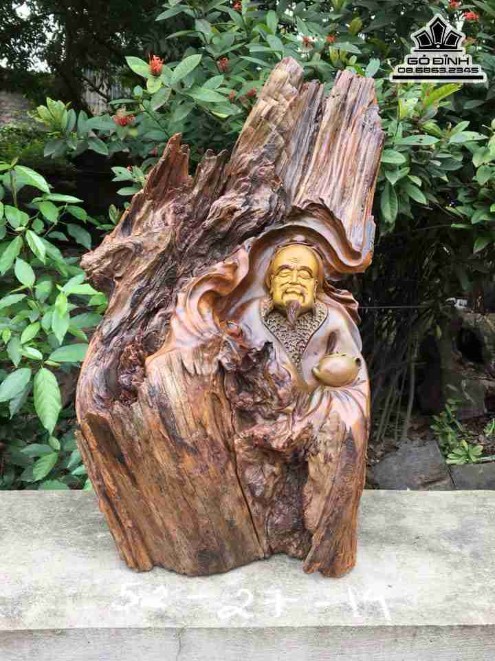 Tượng Thần Trà Gỗ Lũa Bách Xanh   Cao 52 Rộng 27 Sâu 14 (cm)