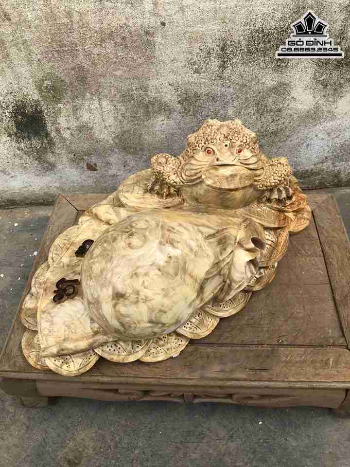 Tượng Thiềm Thừ Ngậm Tiền Gỗ Nu Nghiến  Cao 18 Ngang 48 Sâu 26 (cm)