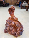Tượng Rắn Gỗ Cẩm Nguyên Khối Cao 30 Ngang 28 Sâu 28 (cm)