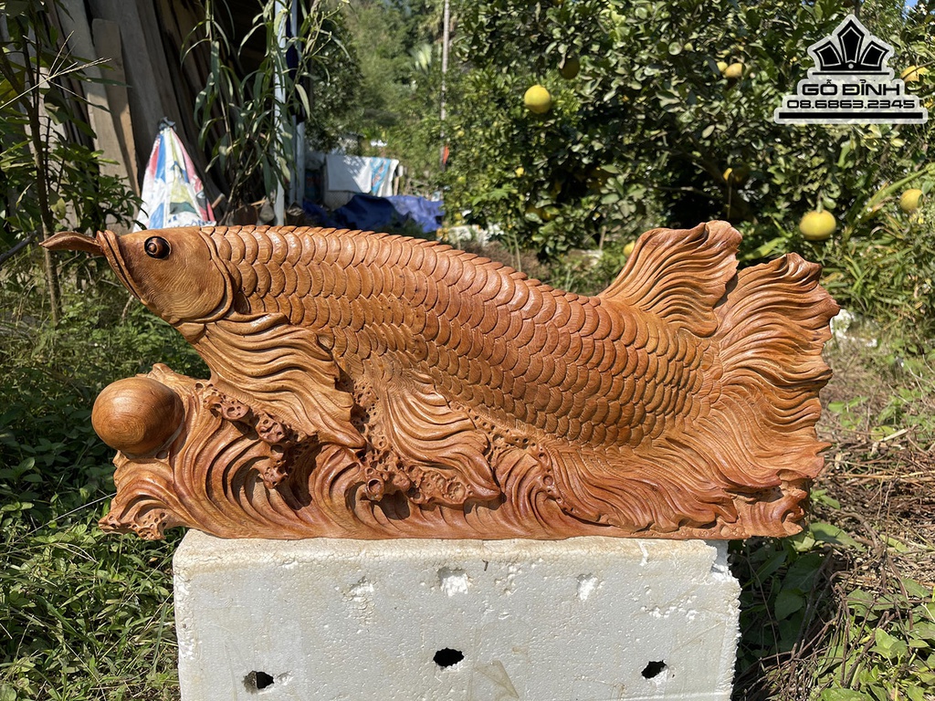 Tượng Cá Rồng Gỗ Ngọc Am Cao 27 Ngang 67 Sâu 13 (cm)