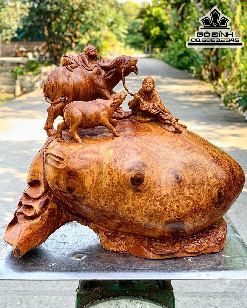 Tiểu Đồng Chăn Trâu Gỗ Nu Hương Nguyên Khối Cao 36 Ngang 42 Sâu 25 (cm)