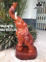Tượng Voi Gỗ Hương Cao 65 Ngang 31 Sâu 20 (cm)