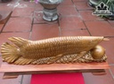 Tượng Cá Kim Long Gỗ Ngọc Am Cao 21 Ngang 76 Sâu 12 (cm)