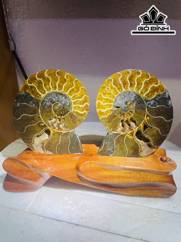 Tác Phẩm Ốc Anh Vũ Hóa Ngọc Cao 18 Ngang 23 (cm) 1,2kg