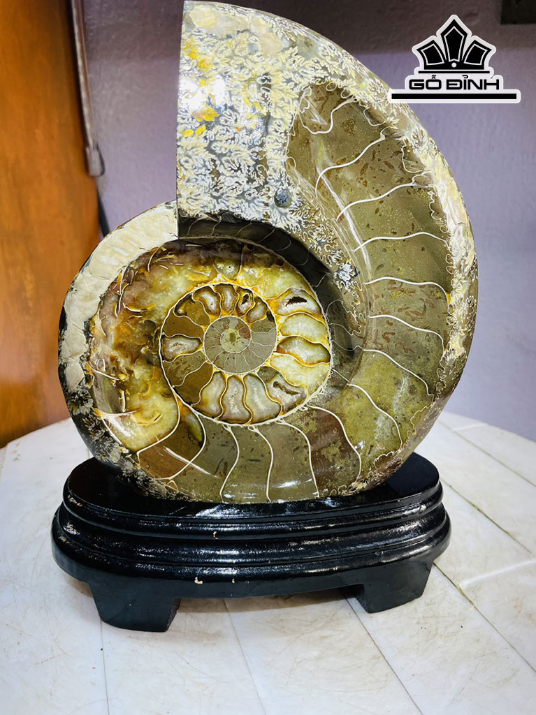 Tác Phẩm Ốc Anh Vũ Hóa Ngọc Cao 24 Ngang 17 (cm) 1,6kg