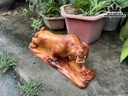Tượng Hổ Phong Thủy Gỗ Hương Ngang 45 Cao 20 Sâu 13 (cm)