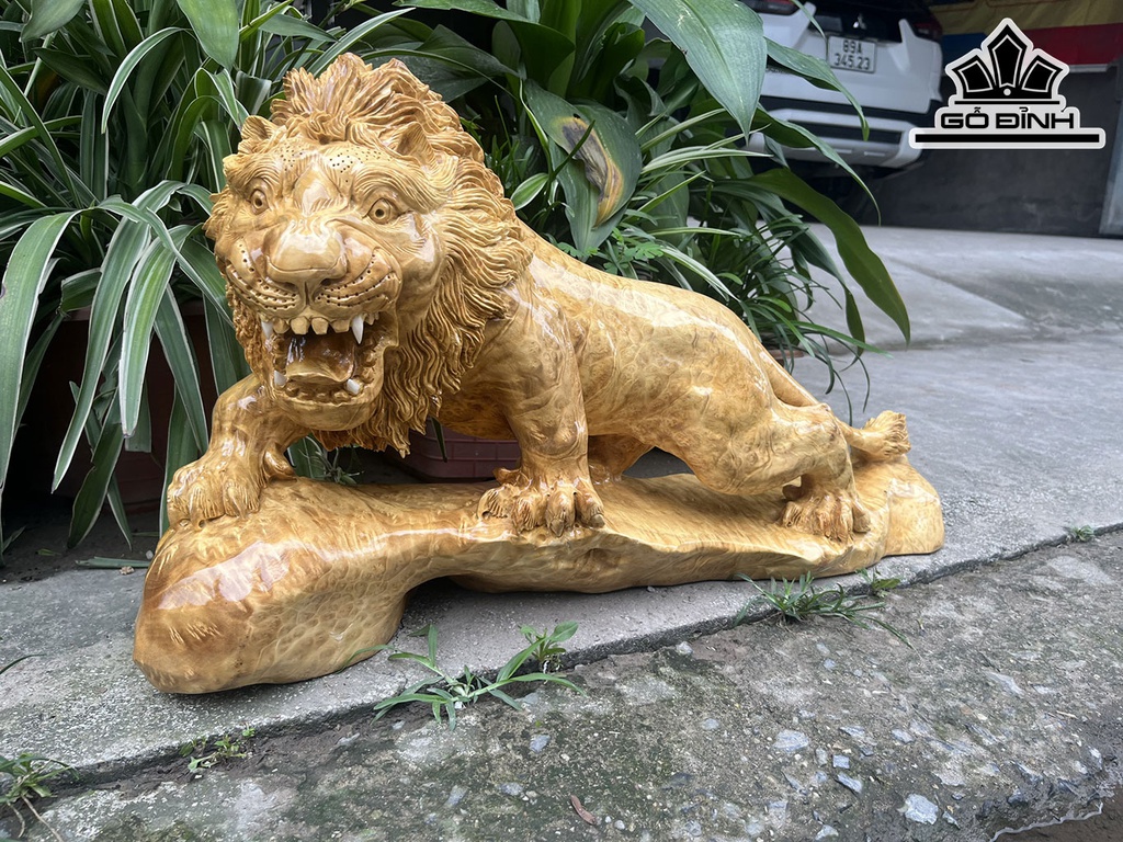 Tượng Sư Tử Gỗ Nu Kháo Ngang 70 Cao 35 Sâu 20 (cm)