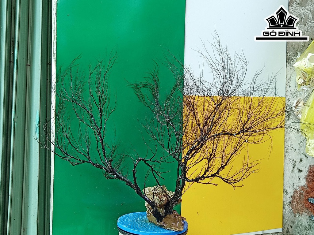 Tác Phẩm Cây San Hô Cao 70 Ngang 90 (cm)