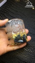 Mặt Dây Chuyền Đá Thạch Anh Tóc Vàng Cao 62,8 Ngang 44,6 Sâu 13,8 (mm) 86,4gr
