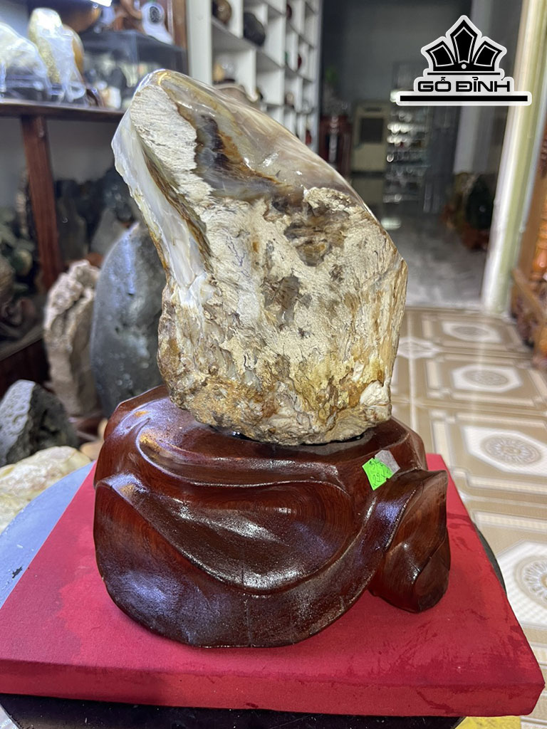 Tác Phẩm Gỗ Hóa Thạch Cao 22 (cm) 2,9kg