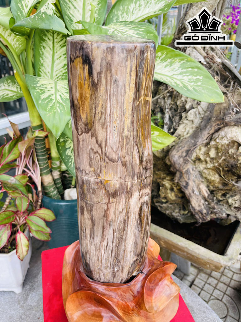 Trụ Gỗ Hóa Thạch Cao 52 (cm) 13,8kg