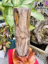 Trụ Gỗ Hóa Thạch Cao 52 (cm) 13,8kg
