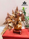 Bình Mai Phú Quý Gỗ Hương Cao 70 Ngang 59 Sâu 30 (cm)