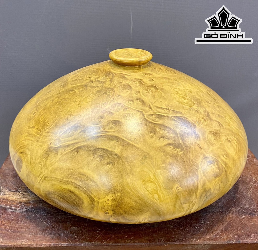 Chum Phú Quý Gỗ Nu Kháo Cao 14 Đường Kính 29 (cm)