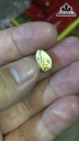 Mặt Dây Chuyền Đá Thạch Anh Tóc Vàng Cao 12,9 Ngang 8,8 Sâu 6 (mm) 1gr