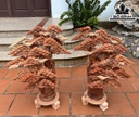 Bình Tùng Gỗ Hương Cao 85 Ngang 58 Sâu 36 (cm)