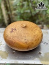 Bình Phú Quý Gỗ Nu Hương Cao 13 Đường Kính 25 (cm)
