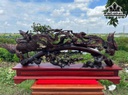 Tượng Chim Gỗ Trắc Cao 51 Ngang 119 Sâu 17 (cm)