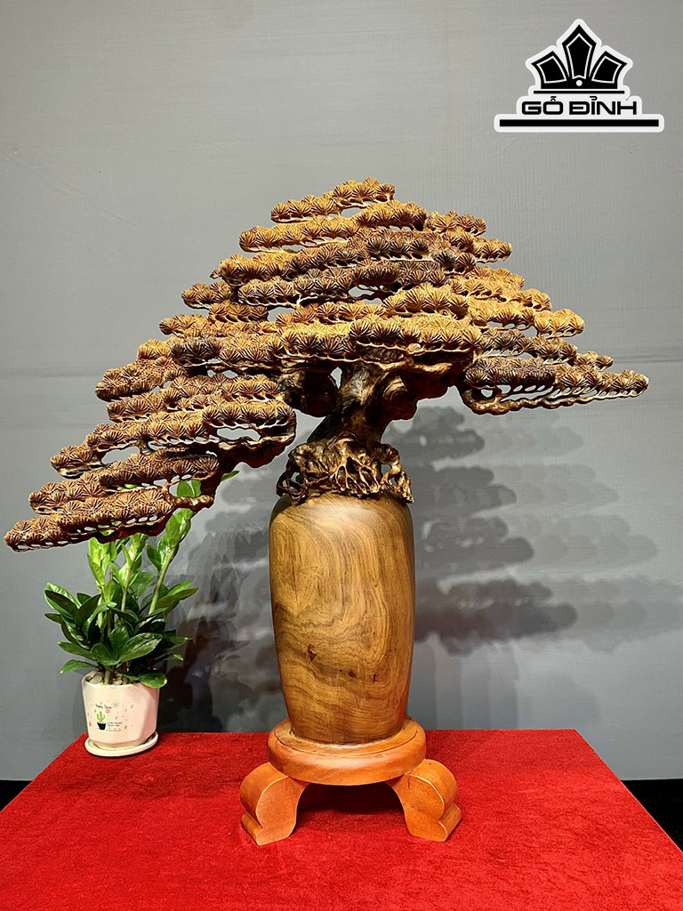 Bình Tùng Gỗ Bách Xanh Cao 75 Ngang 70 Sâu 26 (cm)