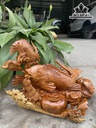 Tượng Cá Chép Mẫu Tử Gỗ Hương Cao 38 Ngang 56 Sâu 27 (cm)