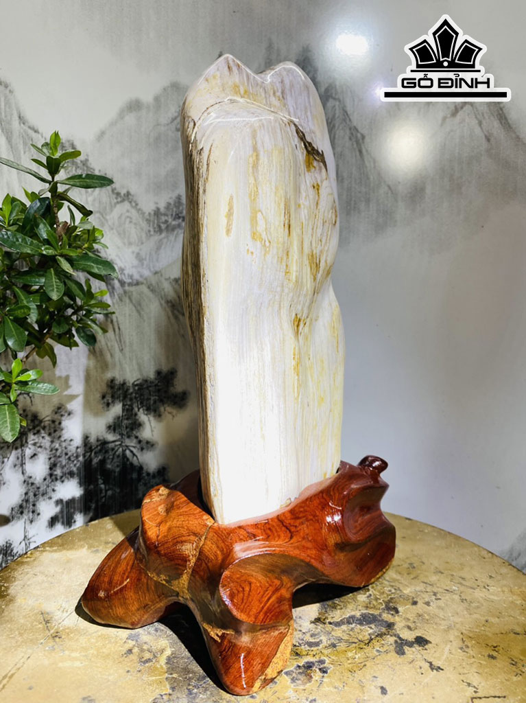 Tác Phẩm Gỗ Hóa Thạch Cao 33 Ngang 18 (cm) 4,4kg