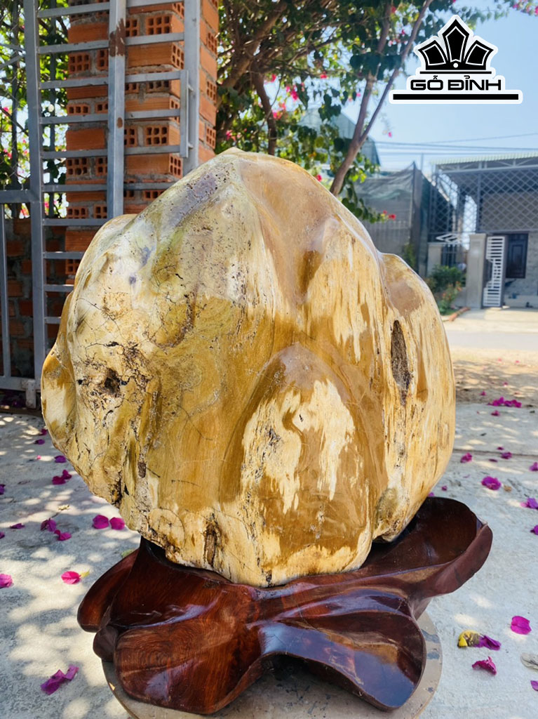 Tác Phẩm Gỗ Hóa Thạch Cao 51 Ngang 43 (cm) 37kg