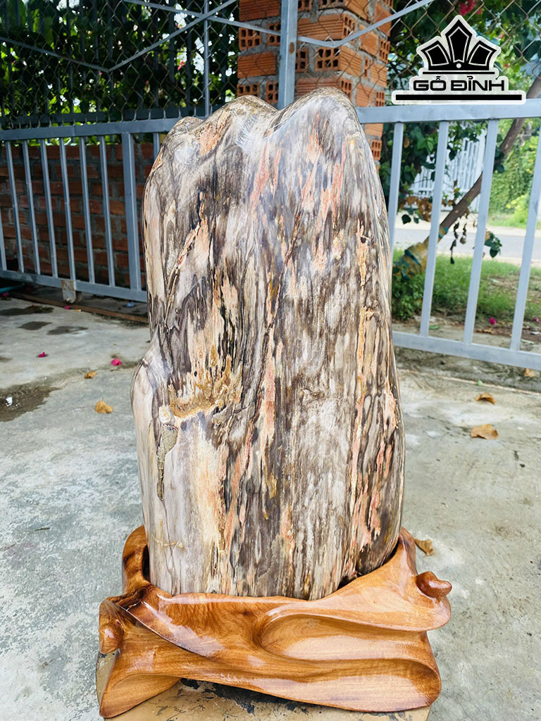 Tác Phẩm Gỗ Hóa Thạch Cao 56 Ngang 33 (cm) 35,3kg