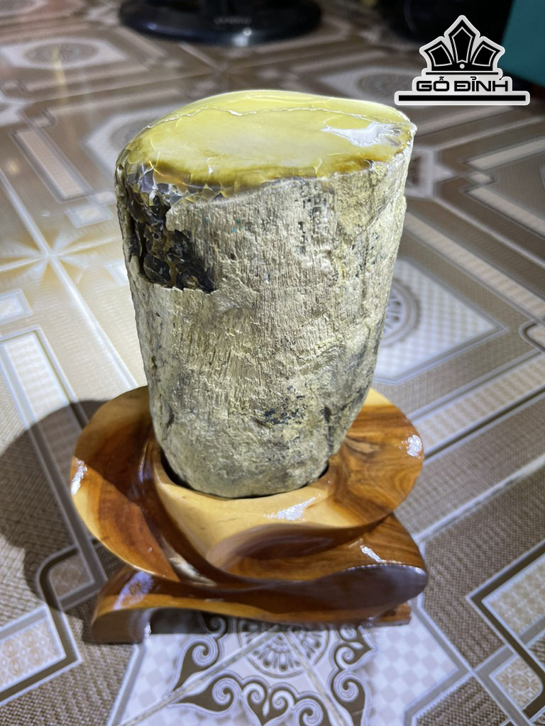 Hốc Gỗ Hóa Thạch Cao 24 (cm) 3,1kg