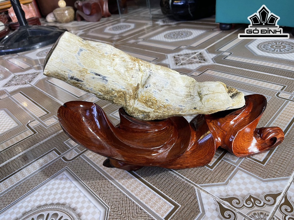 Tác Phẩm Gỗ Hóa Thạch Cao 23 (cm) 2,3kg