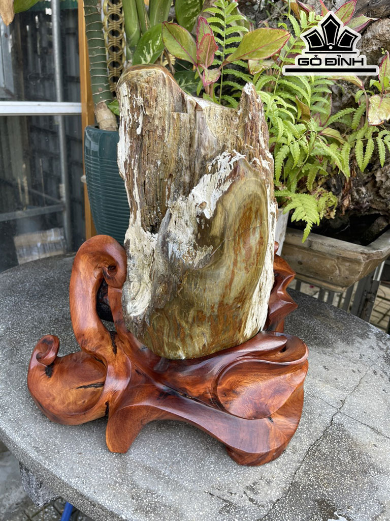 Tác Phẩm Gỗ Hóa Thạch Cao 46 (cm) 22kg
