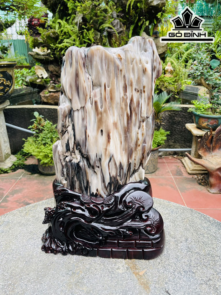 Tác Phẩm Gỗ Hóa Thạch Cao 50 Ngang 25 (cm) 14,2kg