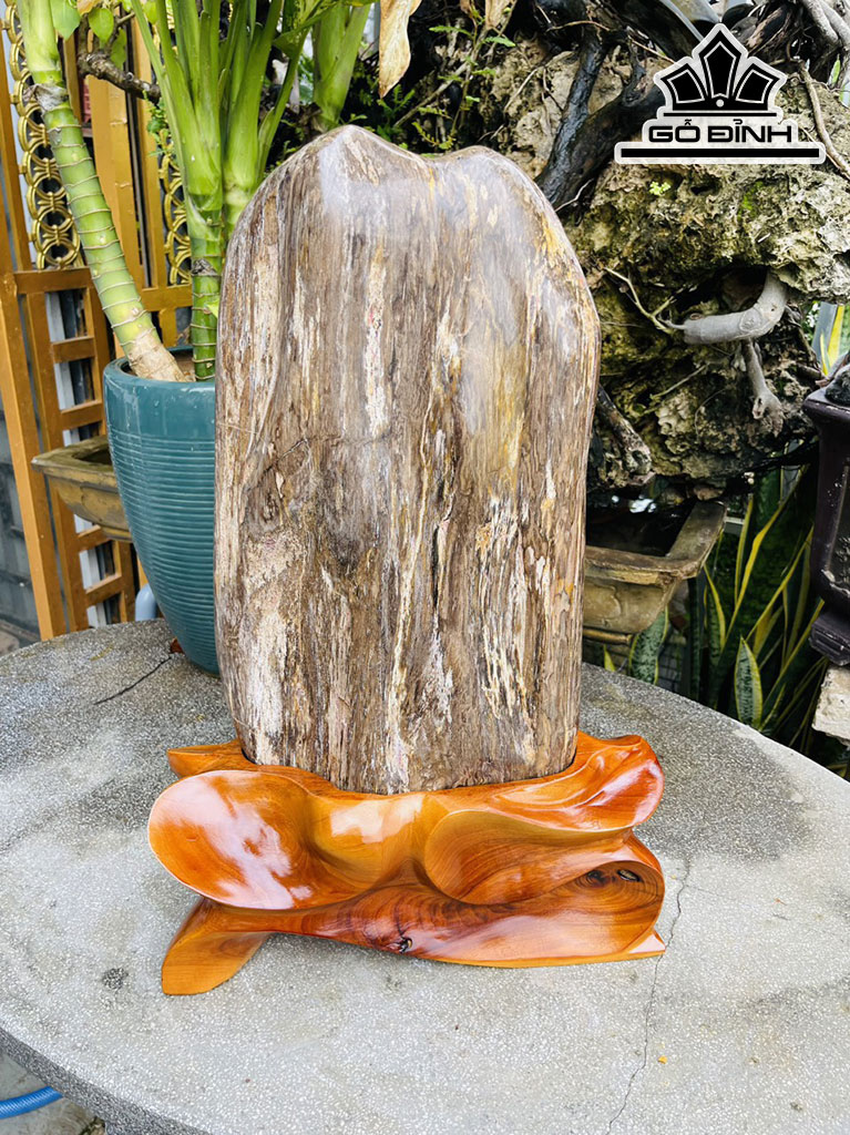 Tác Phẩm Gỗ Hóa Thạch Cao 55 (cm) 20kg
