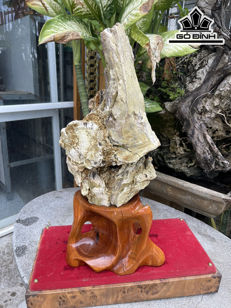 Tác Phẩm Gỗ Hóa Thạch Cao 58 (cm) 13kg
