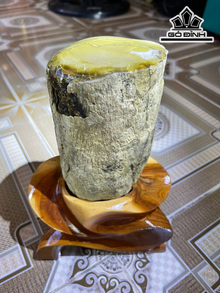 Hốc Gỗ Hóa Thạch Cao 24 (cm) 3,1kg