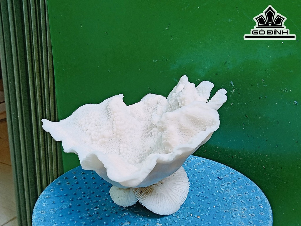 Tác Phẩm Đá San Hô Cao 17 Ngang 20 (cm)