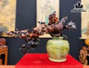 Bình Hoa Chim Trĩ Gỗ Trắc Cao 50 Ngang 60 Sâu 30 (cm)