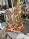 Tác Phẩm Gỗ Hóa Thạch Cao 56 (cm) 36,5kg