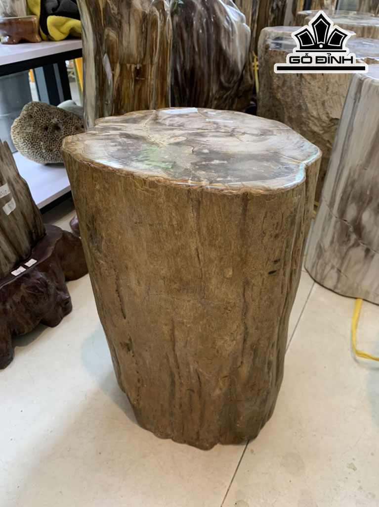 Tác Phẩm Gỗ Hóa Thạch Cao 40 Đường Kính 30 (cm) 58kg