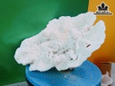 Tác Phẩm Cây San Hô Cao 31 Ngang 25 (cm)