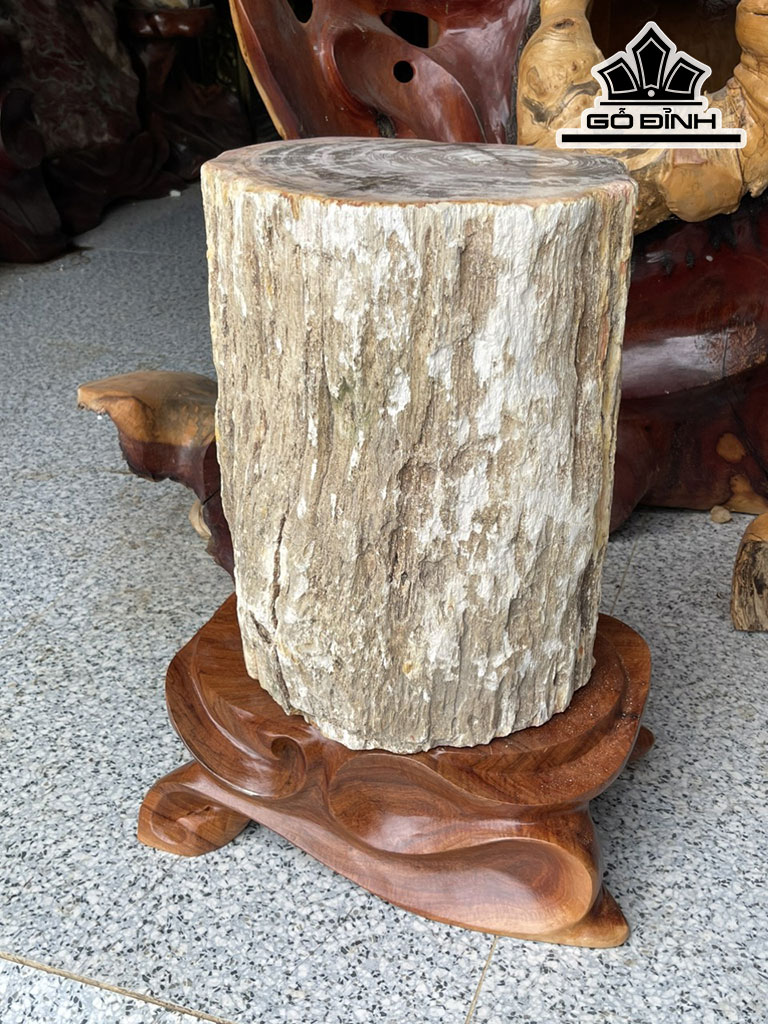 Tác Phẩm Gỗ Hóa Thạch Cao 40 Đường Kính 31 (cm) 107kg