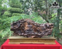 Tượng Phật Tổ Gỗ Bách Xanh Cao 31 Ngang 75 Sâu 22 (cm)