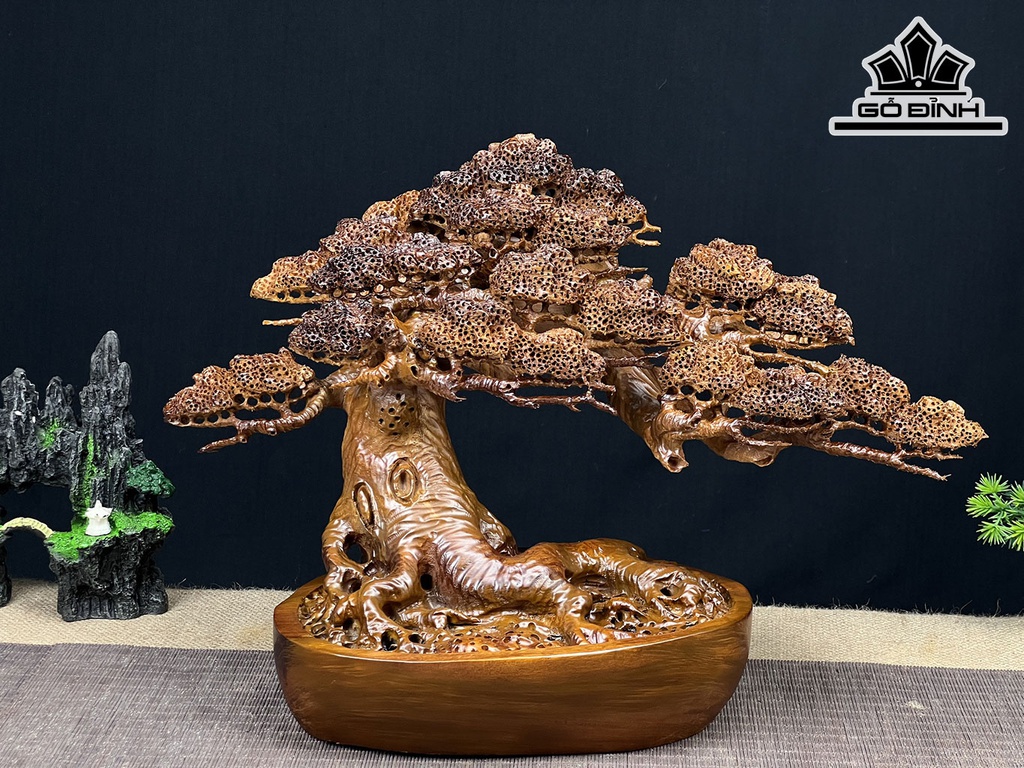 Cây Tùng Bonsai Gỗ Ngọc Am Cao 30 Ngang 43 Sâu 20 (cm)
