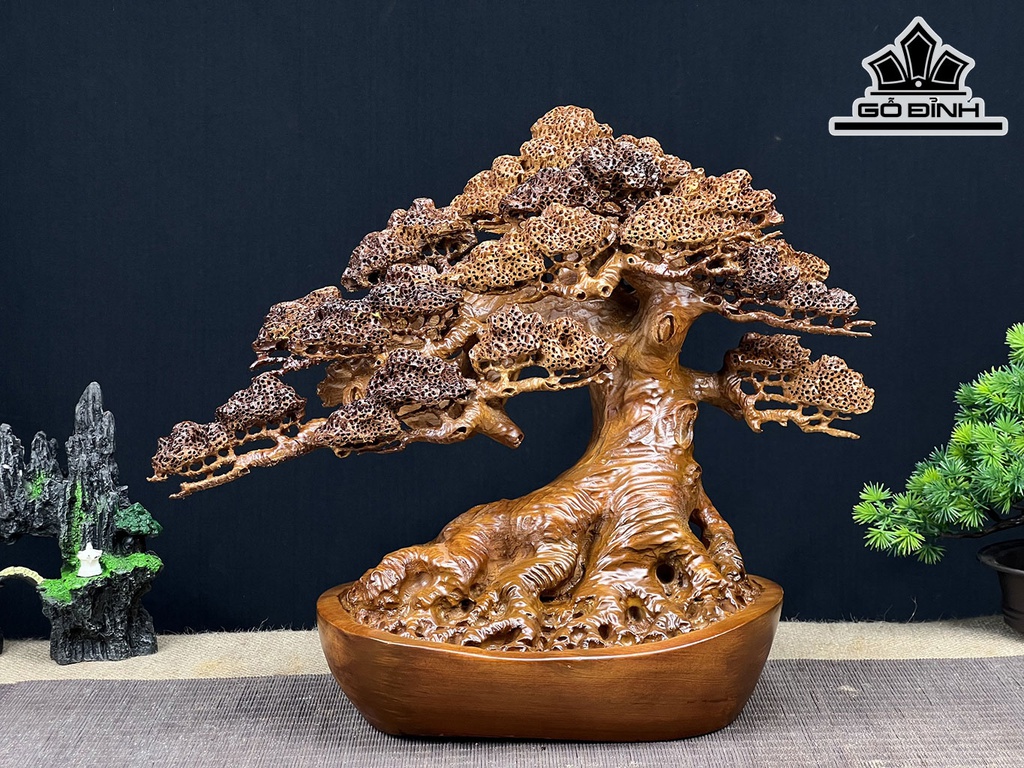 Cây Tùng Bonsai Gỗ Ngọc Am Ngang 40 Cao 33 Sâu 19 (cm)
