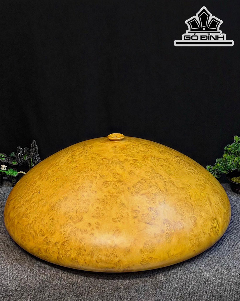 Chum Phú Quý Gỗ Nu Kháo Cao 30 Đường Kính 70 (cm)