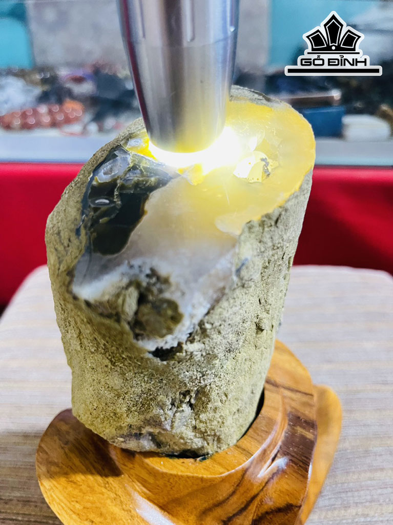 Tác Phẩm Gỗ Hóa Thạch Cao 20 (cm) 1,5kg